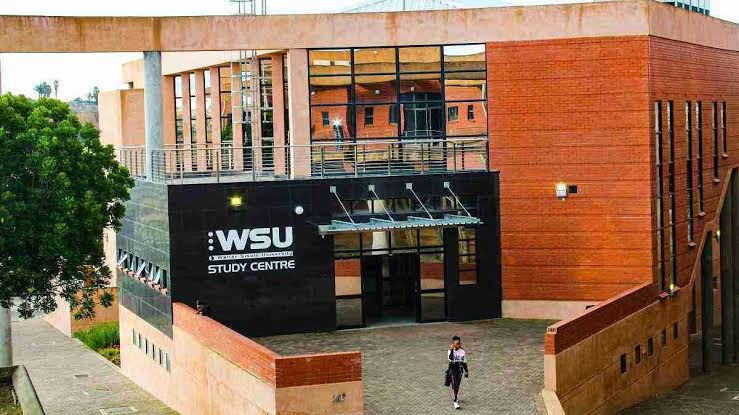 Who Must Pay the WSU Application Fee?